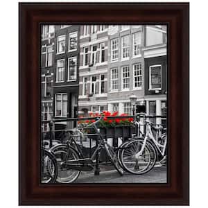 Coffee Bean Brown Picture Frame Opening Size 16 x 20 in.