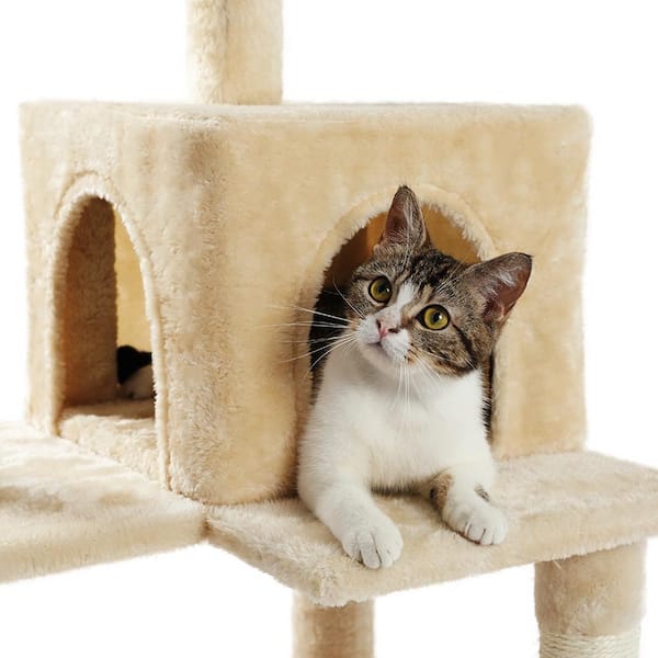 Amazon.com : Cat Scratching Post, MODUSKYE Kitten Flower