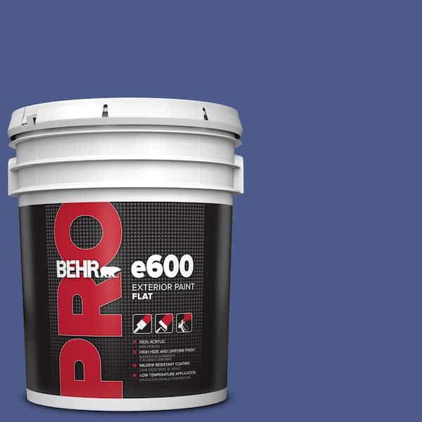 BEHR PRO 5 gal. #S-G-610 Gem Flat Exterior Paint