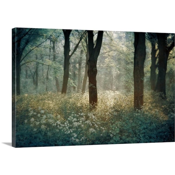 GreatBigCanvas "Forest de Tenom" by Lars Van De Goor Canvas Wall Art
