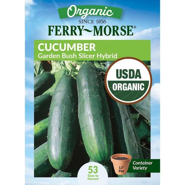 Organic Cucumber Garden Bush Slicer Hybrid Fruit Seeds