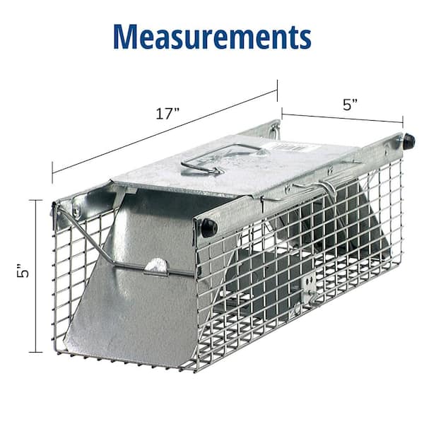 Havahart Small 1-Door Humane Catch-and-Release Live Animal Cage Trap for  Squirrel, Weasel, Chipmunk 1026 - The Home Depot