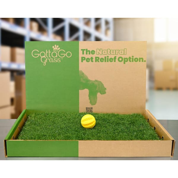 Unbranded Gotta Go Grass 2 Pack with Tray Plus Toy Ball