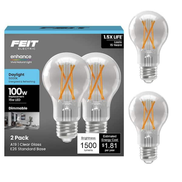 100-Watt Equivalent A19 Dimmable CEC 90 Plus CRI Indoor LED Light Bulb, Daylight (2-Pack)