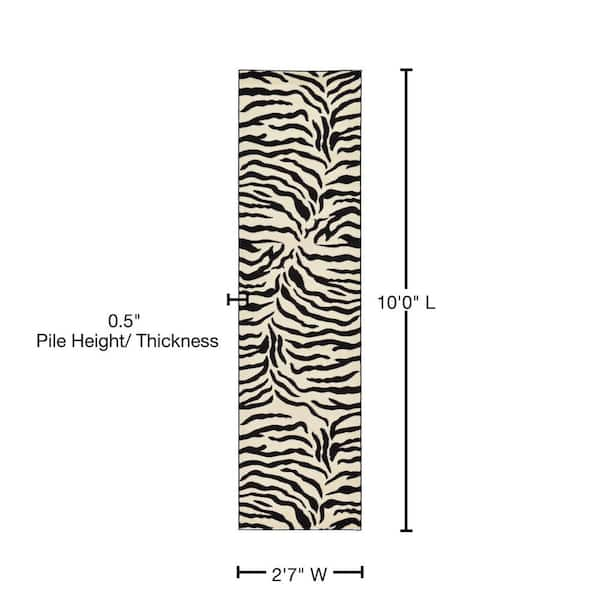 zebra rug, curve, high shelf for bags