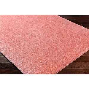 Cloudy Shag Pink 5 ft. x 7 ft. Solid Indoor Area Rug