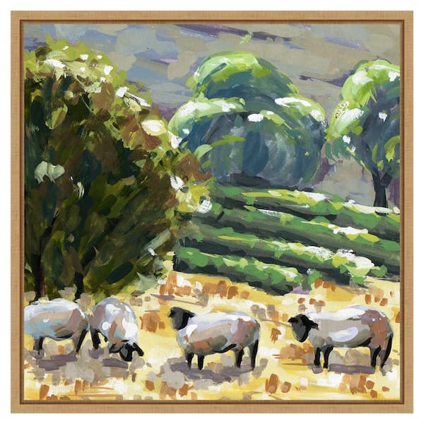 Amanti Art Sheep in Summer I by Melissa Wang 22 in. W x 22 in. H. Canvas Wall Art Print Framed in Brown