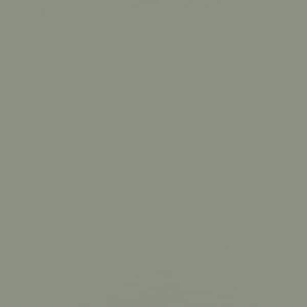James Hardie Magnolia Home Hardie Panel HZ5 48 in. x 120 in. Fiber Cement Smooth in Dried Eucalyptus Panel