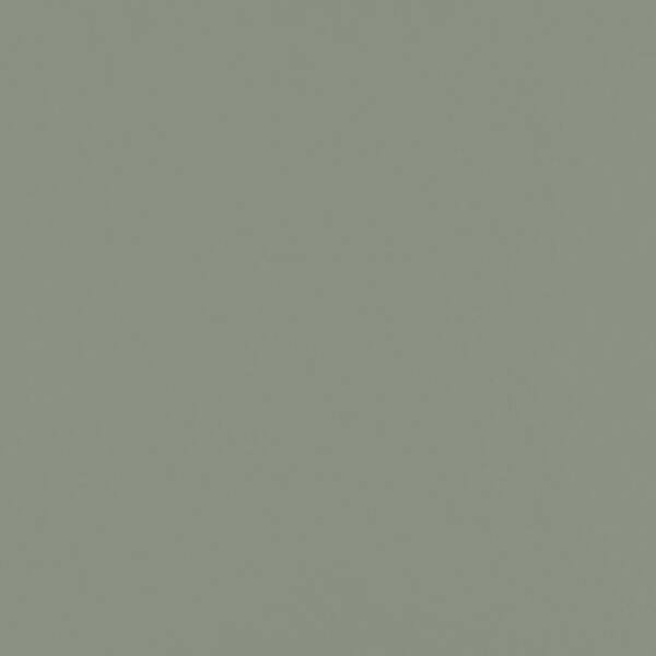 James Hardie Magnolia Home Hardie Panel HZ10 48 in. x 120 in. Fiber Cement Smooth in Dried Eucalyptus Panel