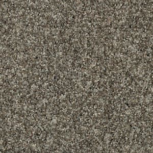 Carpet Sample - Barx I - Color Mineral Textured 8 in. x 8 in.