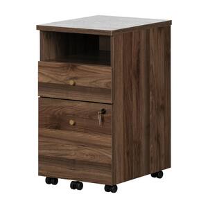 Talie Natural Walnut Decorative Vertical File Cabinet with 2-Drawers