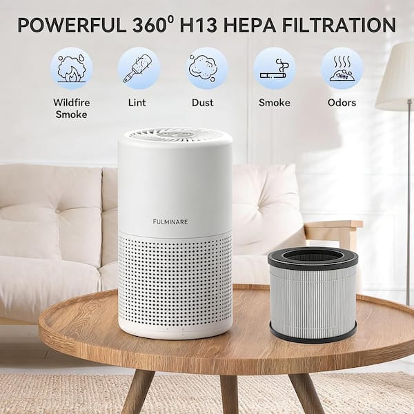 Tahanbath 250 sq. ft. HEPA for Room in White Air Purifier