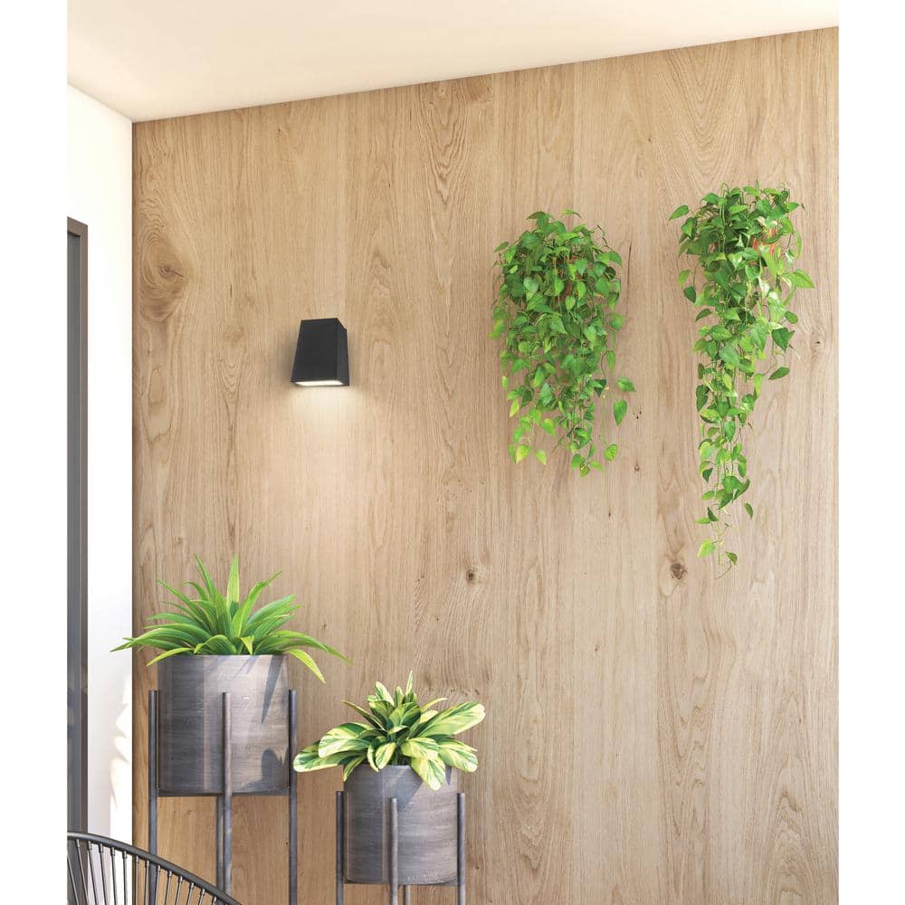 Sleek Edge Black Glass LED Outdoor Wall Sconce