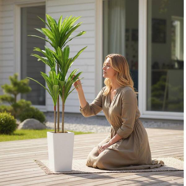 Gravee 4.9 ft. Eco-Friendly Artificial Dracaena Tree  Tall Faux Indoor Plant w/ Plastic Trunk, White Planter, Evergreen Decor