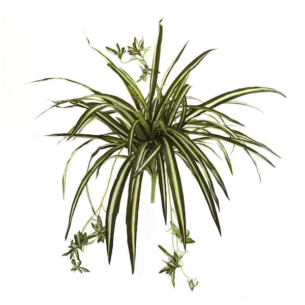 Nearly Natural 23 in. Artificial Spider Plant Bush (Set of 4)
