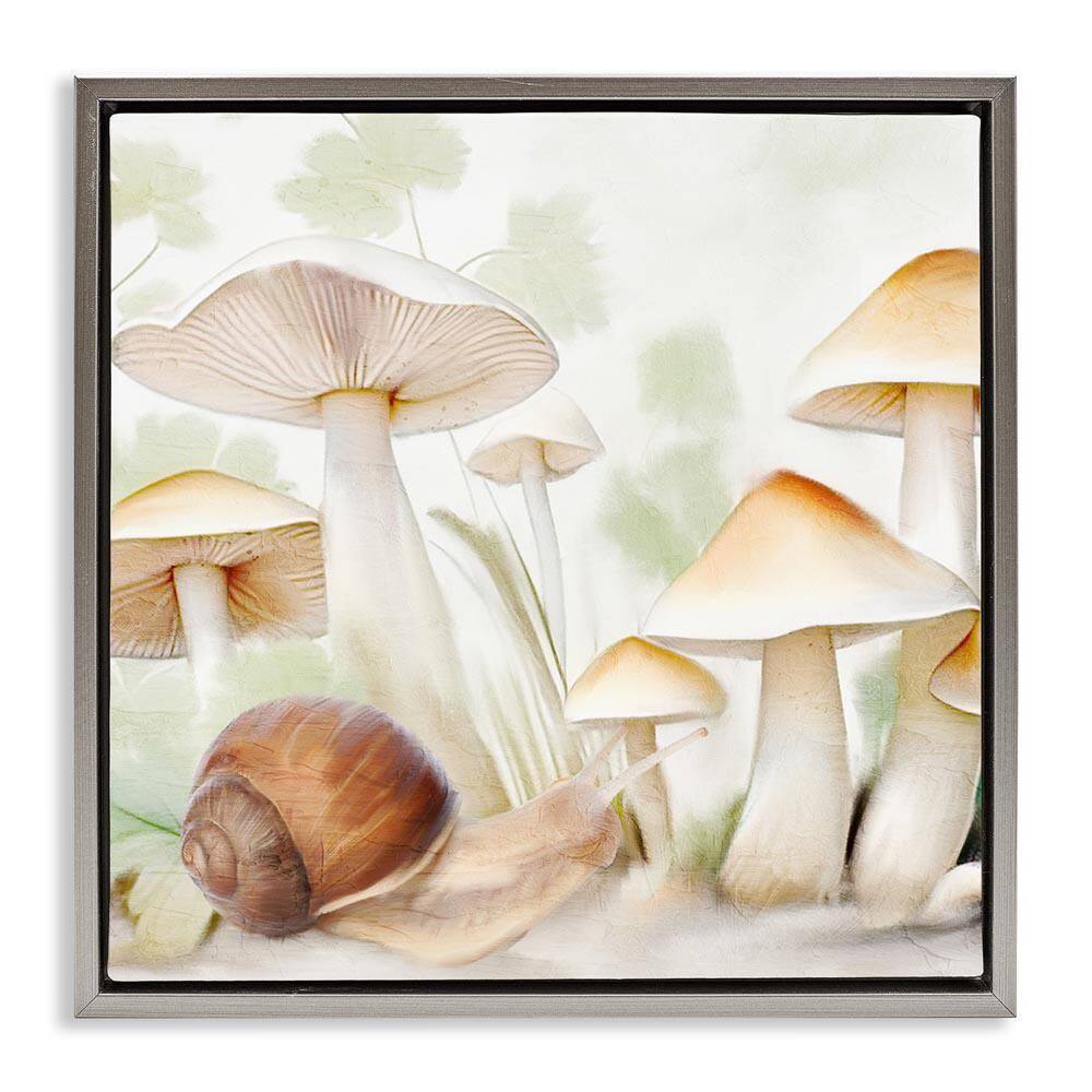 Snail Among Mushrooms by Kim Allen Gray Floater Frame Nature Graphic Art Print 25 in. x 25 in. price history on PriceWatchPro
