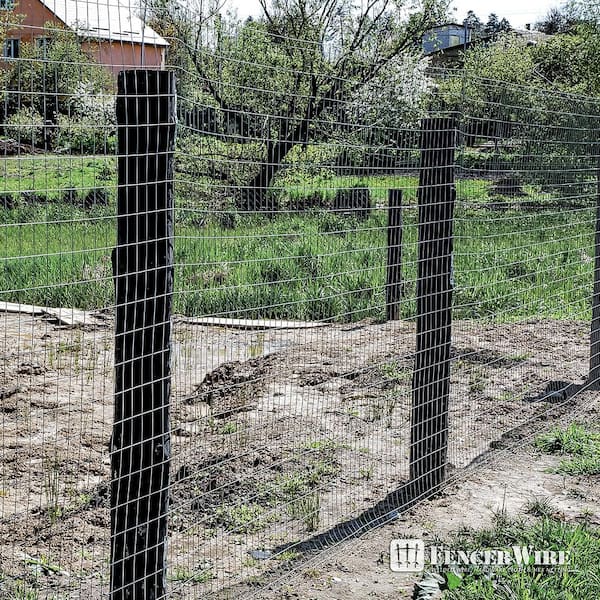 Blue Hawk 50-ft x 4-ft Galvanized Steel Welded Wire Rolled Fencing with  Mesh Size 2-in x 4-in at