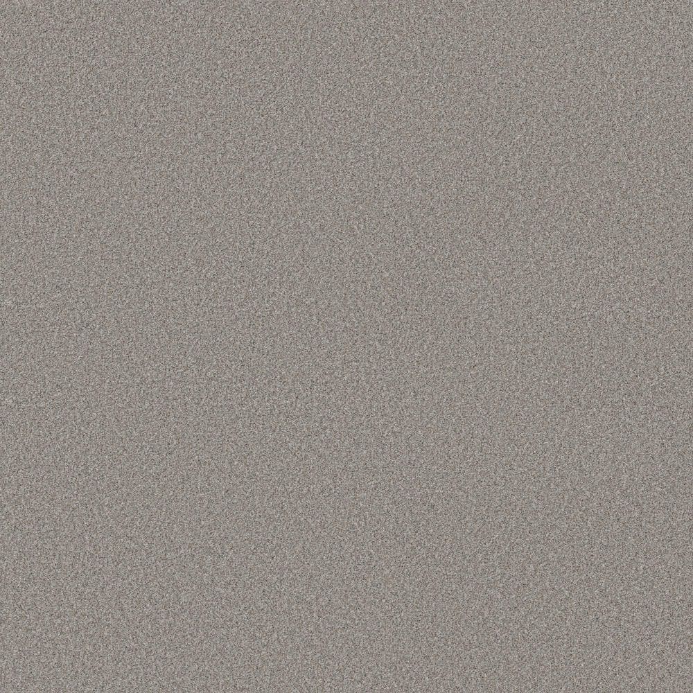 8 in. x 8 in. Texture Carpet Sample - Sculpture Soft I - Color Cobblestone price history on PriceWatchPro