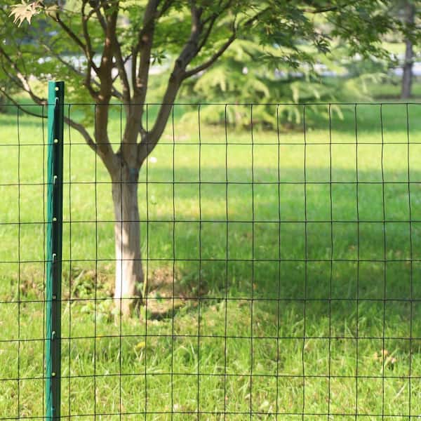 Angel Sar 24 in. x 50 ft. 16-Gauge Black PVC Poultry Netting, Coated Welded Wire Fence for Yard Vegetable Plant Protection