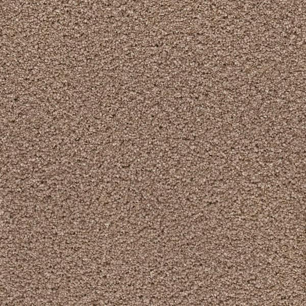 Platinum Plus Carpet Sample - Elite II - Color Conway Texture 8 in. x 8 in.