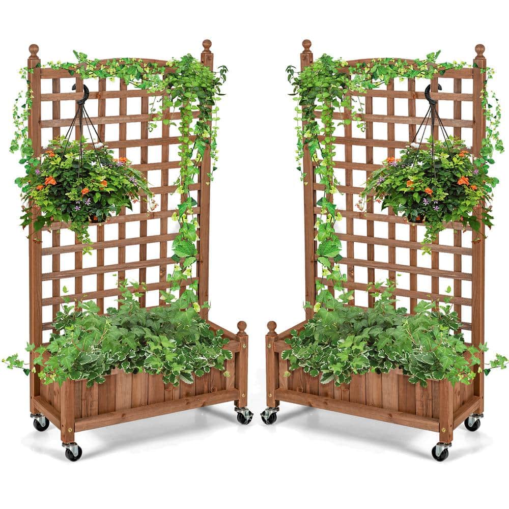 Solid Garden Trough Planter Gift Plant Pot Boxvatory Weather-Resistant Plant Rack for Vines COSTWAY Wood Flower Plant Stand with Trellis Wood Flower Plant Stand Outdoor Climbing Flower Garden