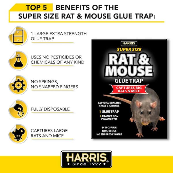 CREPLOSL 3 Pack Sticky Mouse Trap Rat Sticky Traps Extra Large Mouse Traps  Indoor for Home Work for Trapping Snakes Rats Spiders Roaches & Other