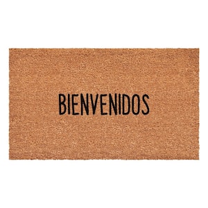 Bienvenidos Multi-Colored 17 in. x 29 in. Indoor or Outdoor Spanish Doormat