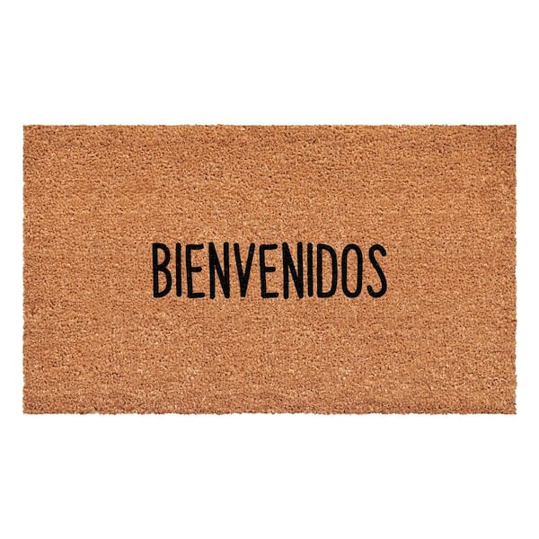 Calloway Mills Bienvenidos Multi-Colored 17 in. x 29 in. Indoor or Outdoor Spanish Doormat