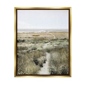 Distant Shoreline Grassy Beach Path Cloudy by Danita Delimont Floater Frame Nature Wall Art Print 21 in. x 17 in. .