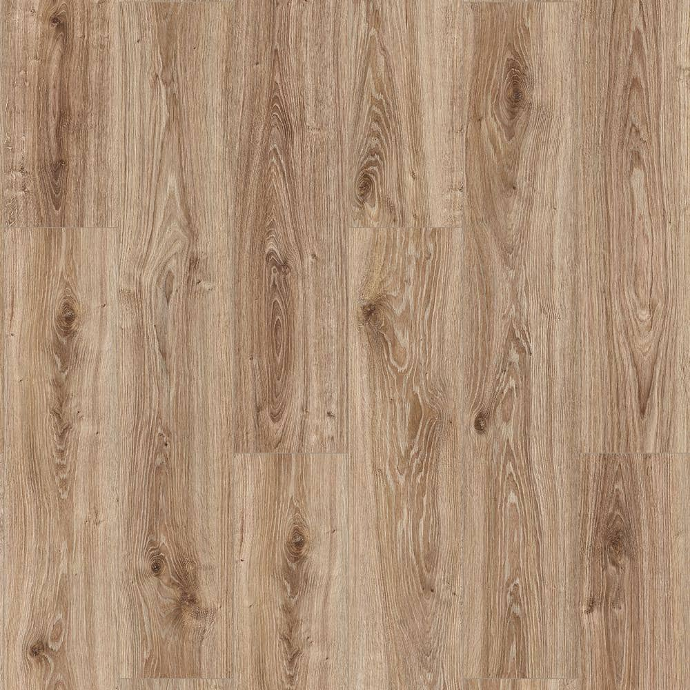 Take Home Sample - Ingleton White Oak Brown 7 mm T x 8 in. W x 7 in. L Laminate Wood Flooring -  TrafficMaster