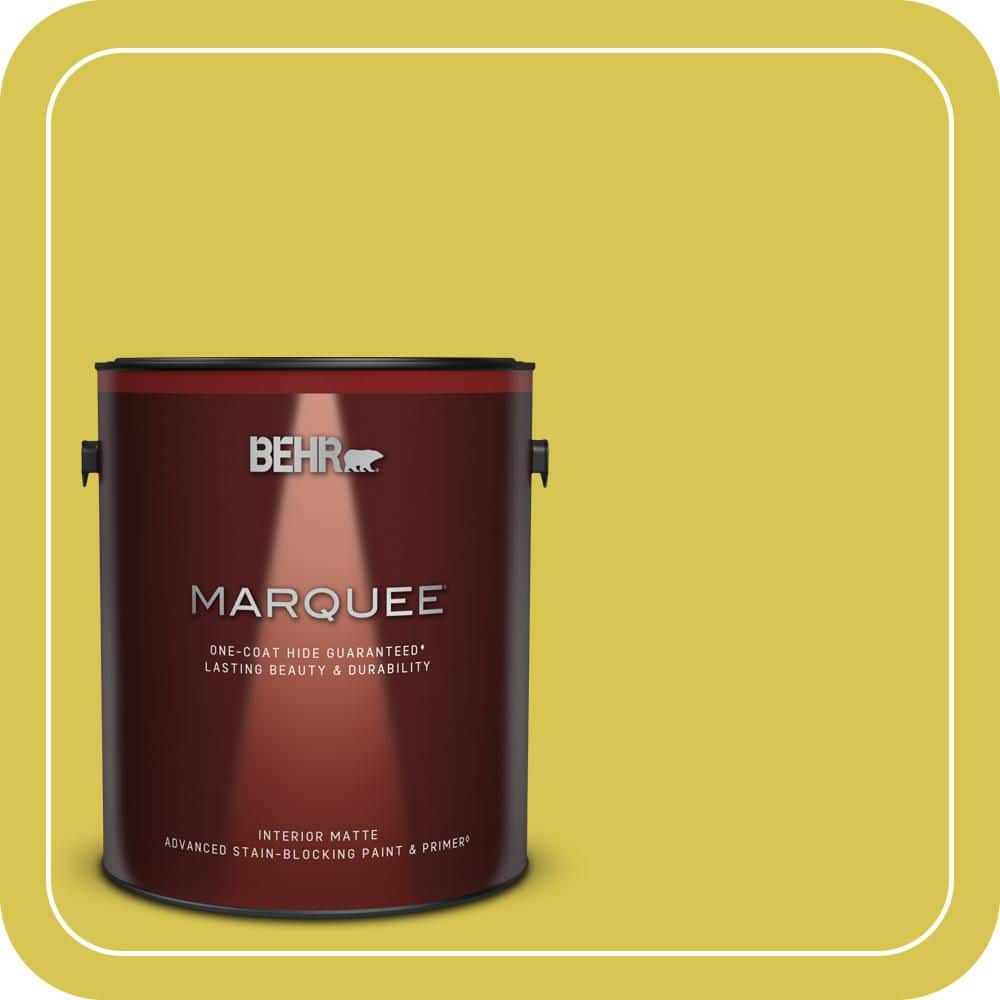 1 gal. Home Decorators Collection #HDC-SM16-10 Pepperoncini Matte Interior Paint & Primer price history on PriceWatchPro