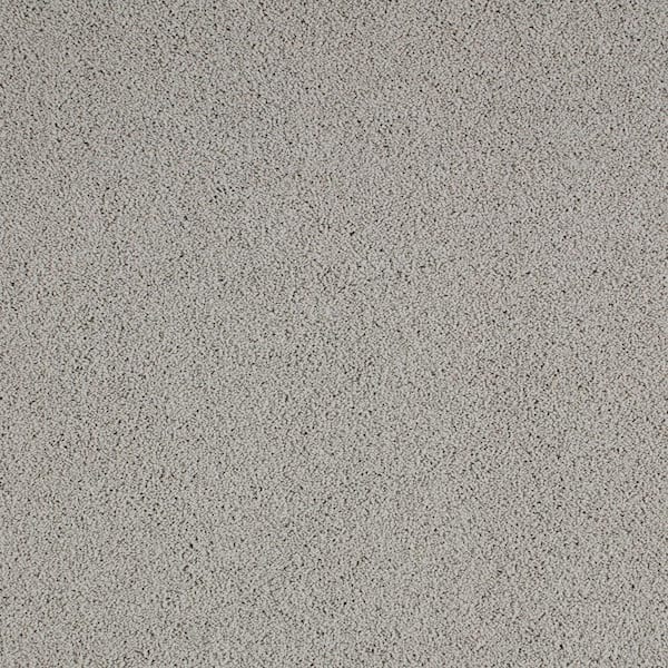 Lifeproof with Petproof Technology Cleoford Wind Chime Gray 47 oz. Triexta Texture Installed Carpet