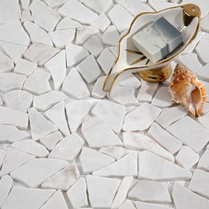 Marble Tumbled Pebbles Mosaic Tile White 12 in. x 12 in. Sample