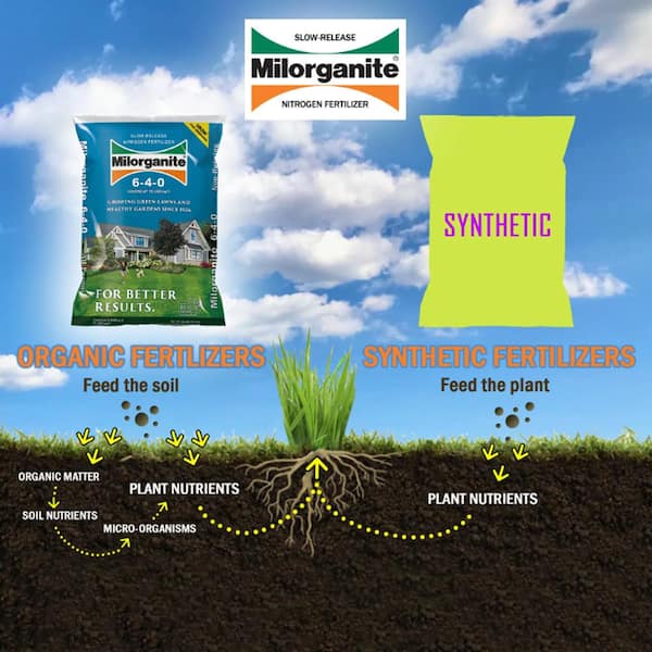 Milorganite Slow Release Nitrogen Lawn Fertilizer For All Grasses 2500 sq ft
