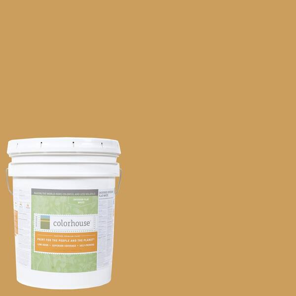 Colorhouse 5 gal. Grain .06 Flat Interior Paint