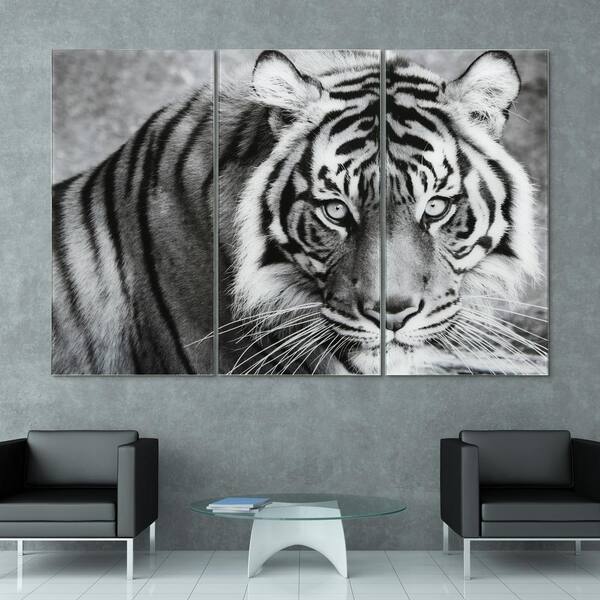 Empire Art Direct Tiger ABC Frameless Free Floating Tempered Glass