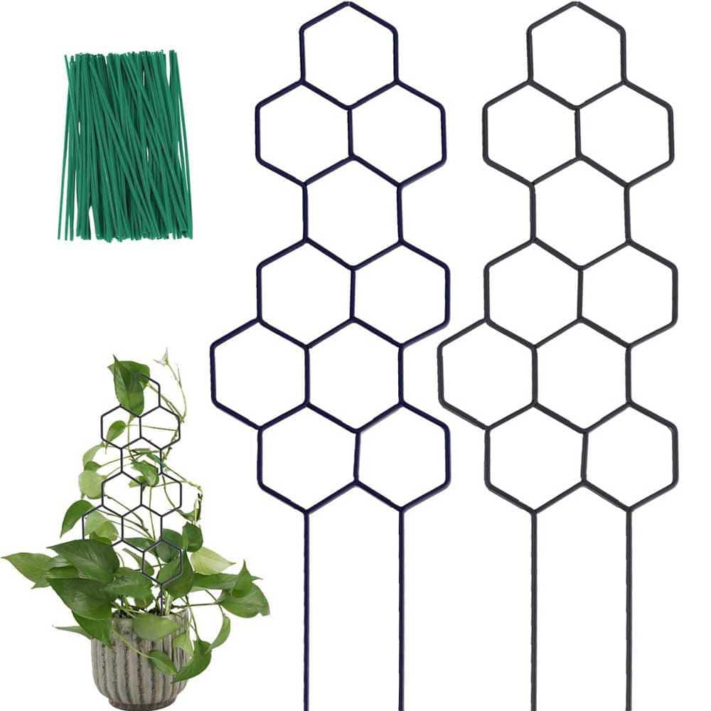 15.94 in. Metal Honeycomb Plant Trellis for Climbing Plants Indoor Outdoor 2-Pack price history on PriceWatchPro