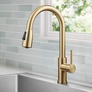 Coda 2-Function Single Handle Pull Down Sprayer Kitchen Faucet in Spot-Free Brushed Brass