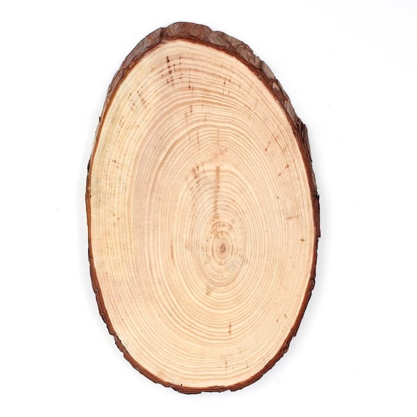 Wedding 36-Count Unfinished Wood Round Circle Slices for DIY Craft Home Décor 