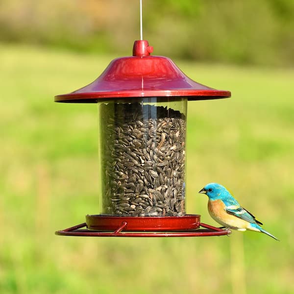 Elevated Feeders for Dogs: Yeah or Nay?