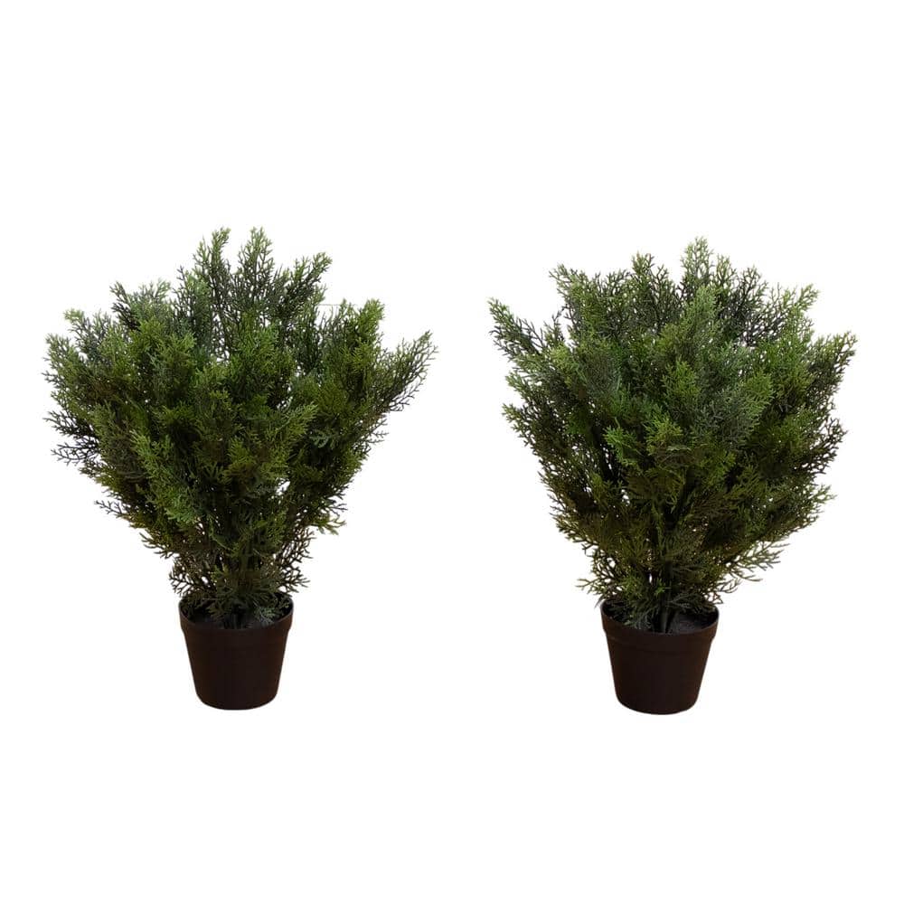 2 ft. Artificial Cedar Tree UV Resistant (Indoor/Outdoor)-Set of 2