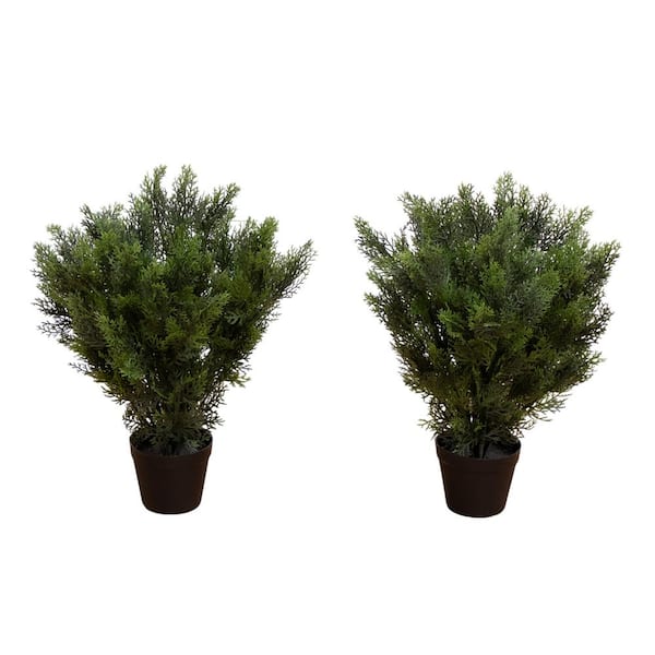 Nearly Natural 2 ft. Artificial Cedar Tree UV Resistant (Indoor/Outdoor)-Set of 2
