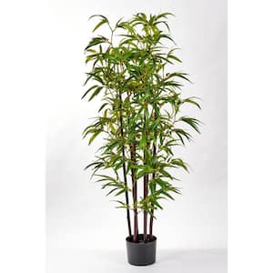 49 in. Artificial Bamboo Tree With Black Trunk In 6 in. Pot With Moss