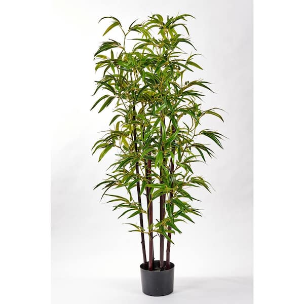 Worth Imports 49 in. Artificial Bamboo Tree With Black Trunk In 6 in. Pot With Moss