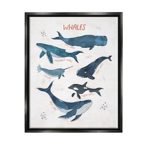 Nautical Diagram Whale Narwhal Bubbles Illustration by Nina Blue Floater Frame Animal Wall Art Print 31 in. x 25 in. .