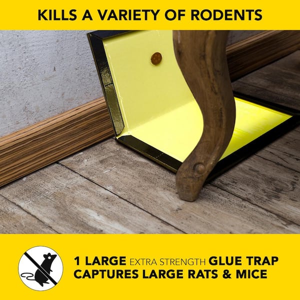 Rat and Mouse Glue Trap Super-Size with Lure (3-Pack)