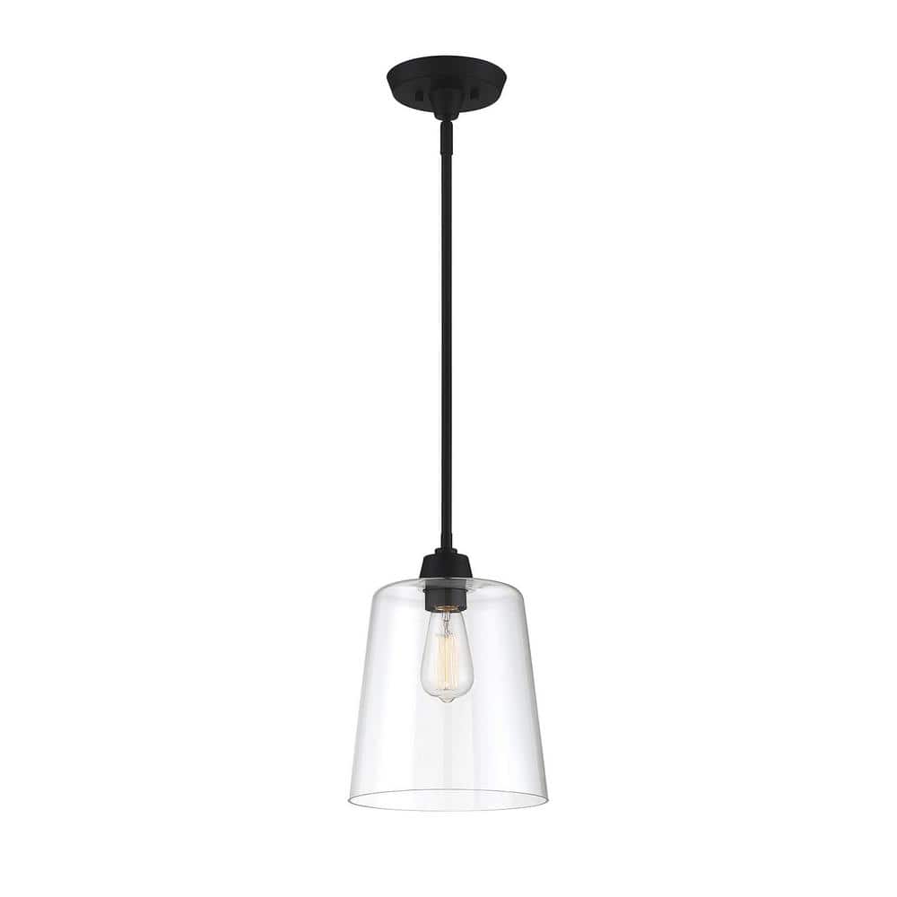 Templeton Matte Black Pendant Light with Clear Glass Shade