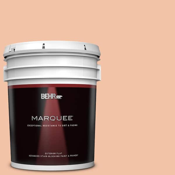 BEHR MARQUEE 5 gal. Home Decorators Collection #HDC-FL13-4 Pumpkin Mousse Flat Exterior Paint & Primer