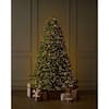 7.5 ft. Grand Duchess Balsam Fir LED Christmas Tree