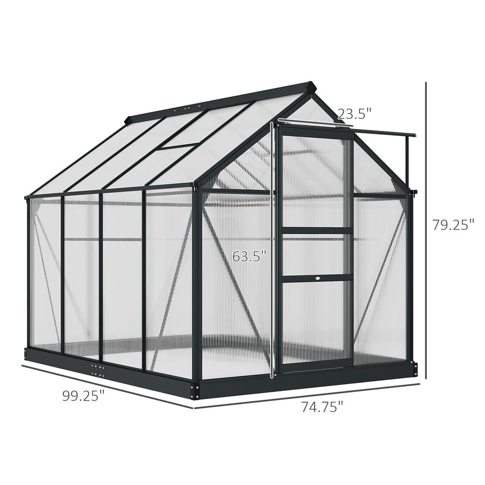 Large Black Aluminum Frame Walk-In Greenhouse